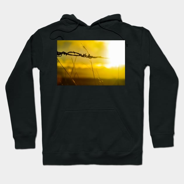 Heartland Hoodie by Awake-Aware